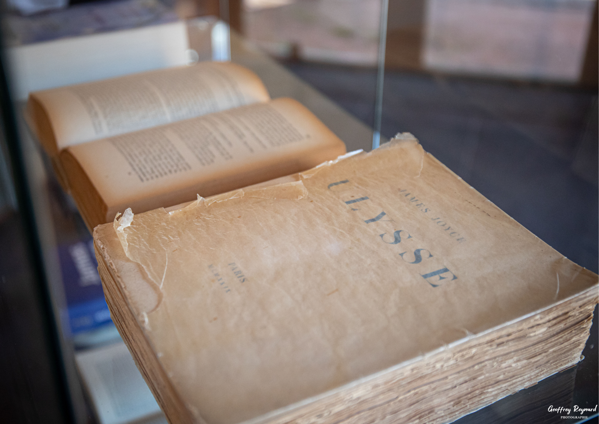 Livre Ulysse